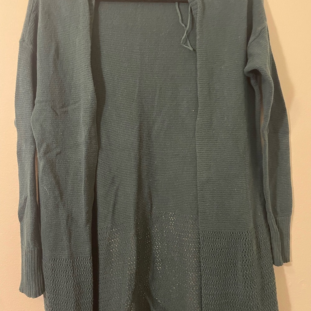 American Eagle Outfitters Green Cardigan Sweater